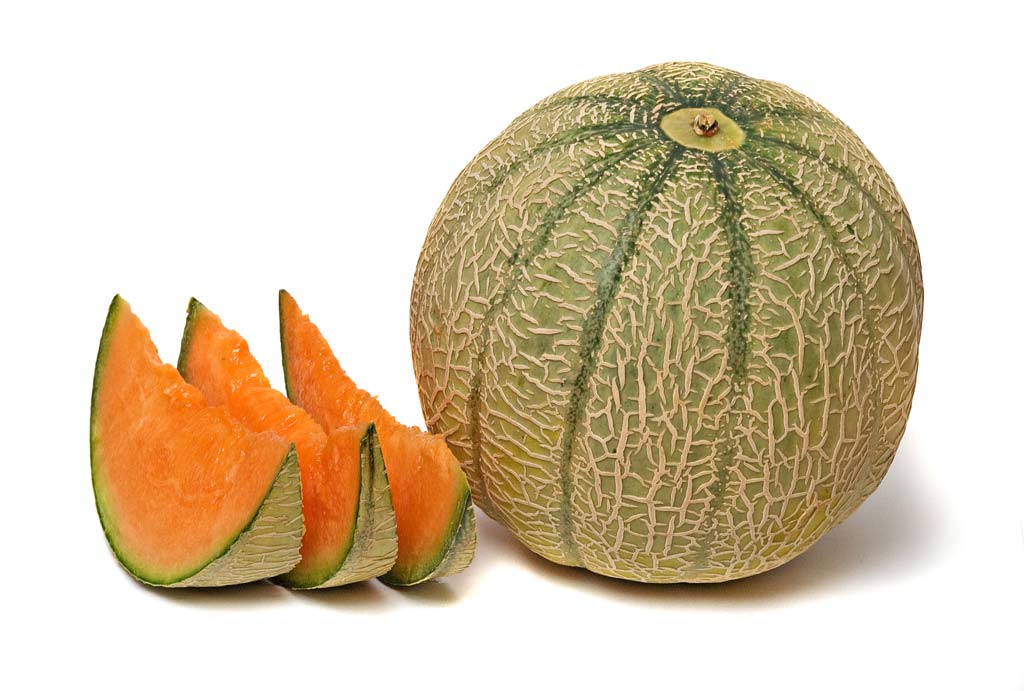 Melon, superoxide dismutase