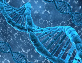 DNA and genetics factors for skin color