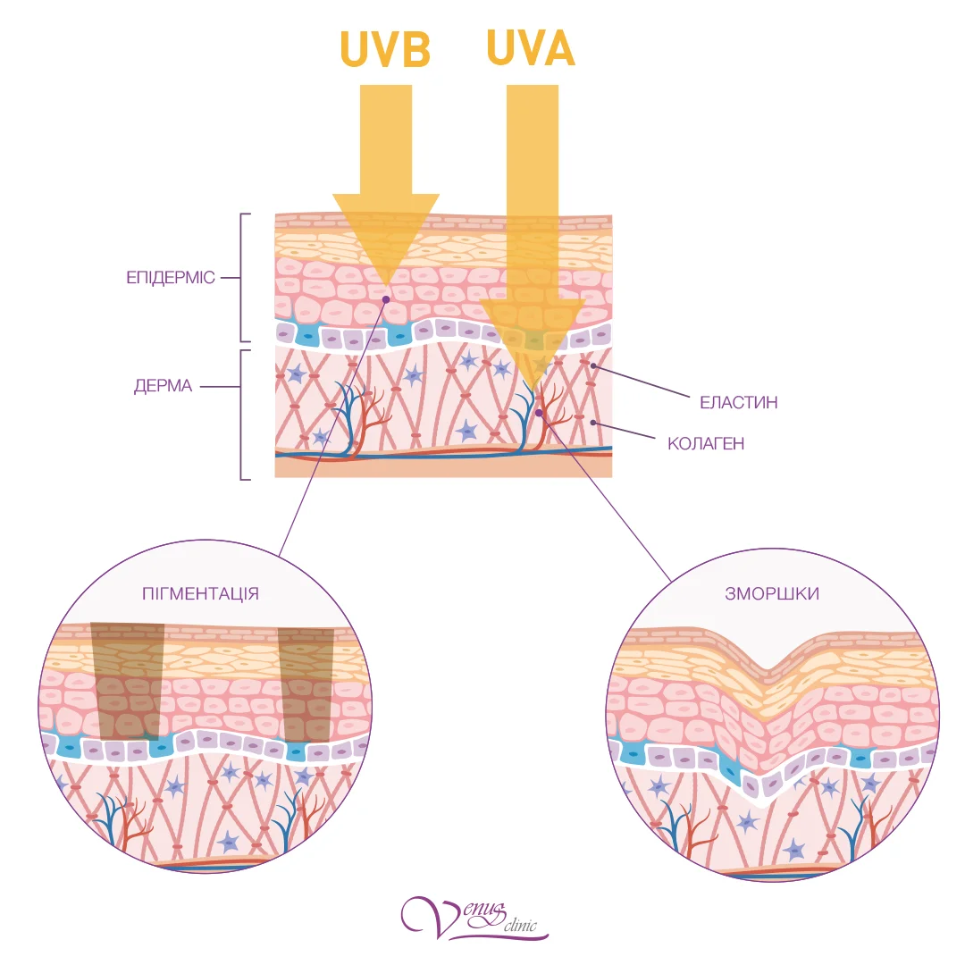 Вплив UVA та UVB променів на шкіру - глибина проникнення та наслідки